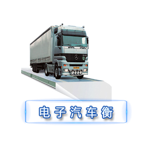 SCS—PT系列電子汽車衡